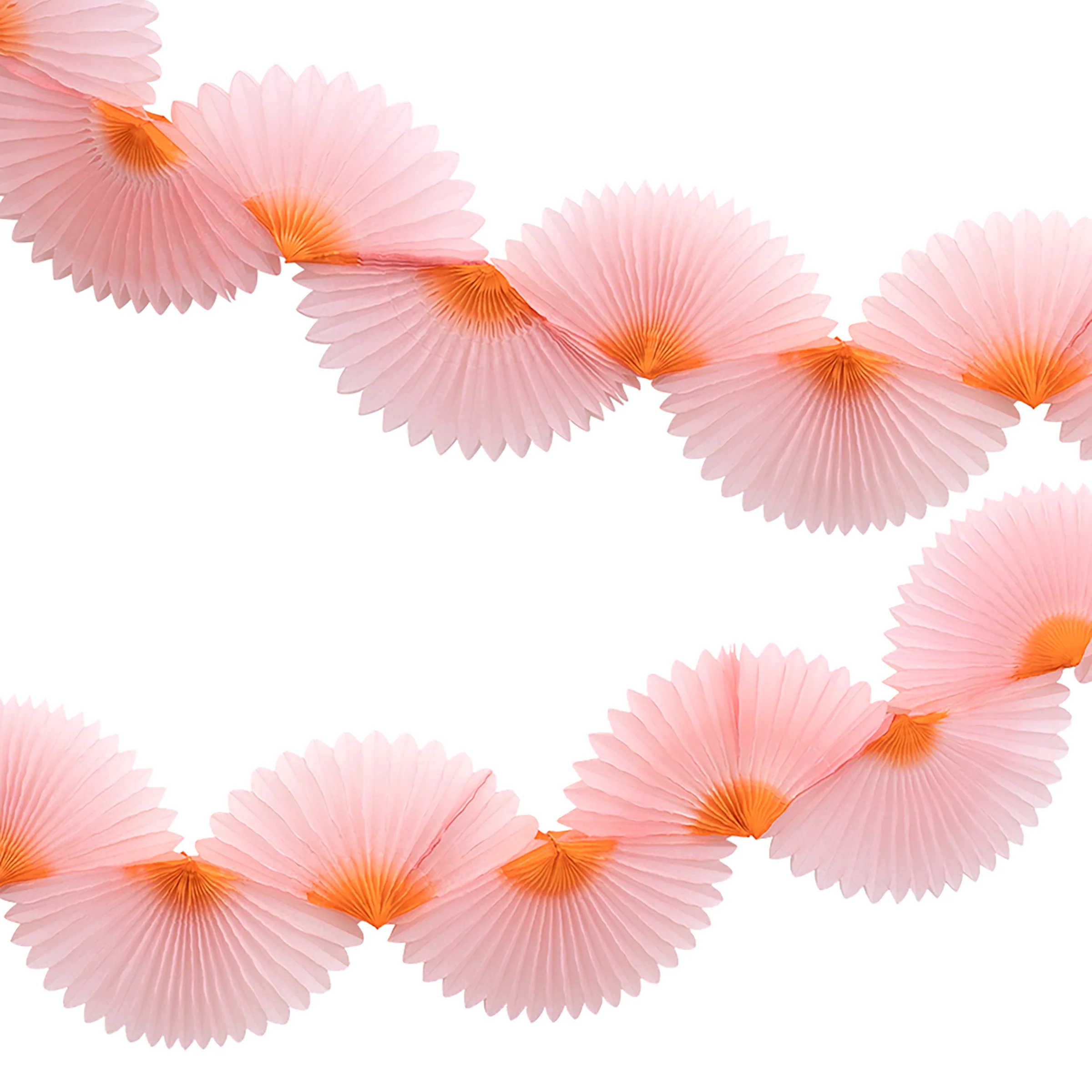 The Lunar New Year Collection